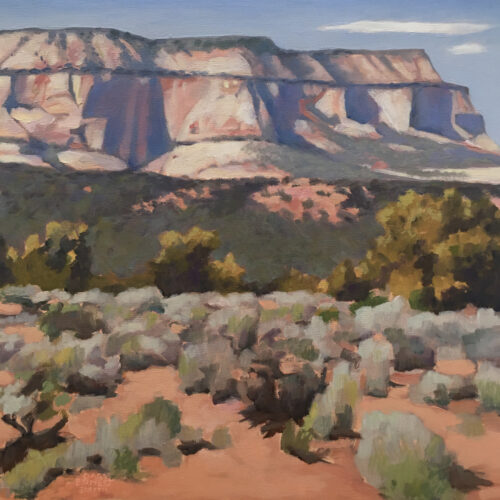 Utah Desert