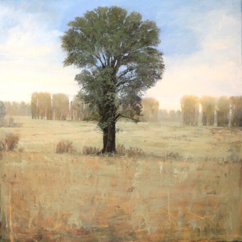 Lone Tree