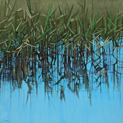 Reeds Reflecting