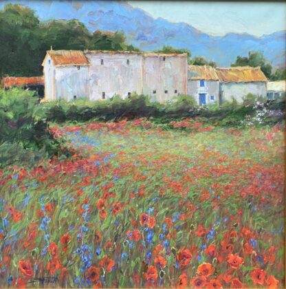 Jewels of Luberon France