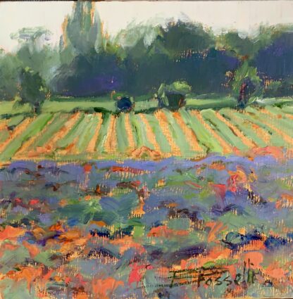 Poppies & Lavender