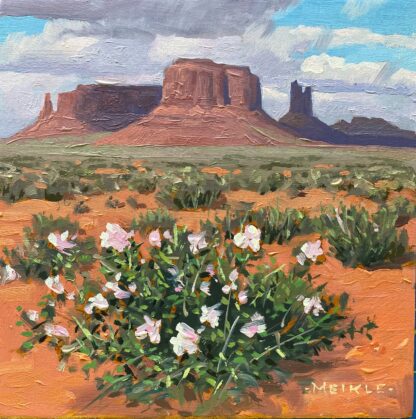 Monument Valley Spring