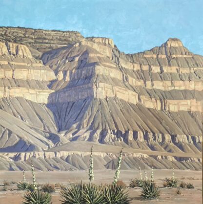 Yuccas