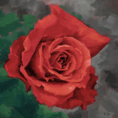 Flower Study 2